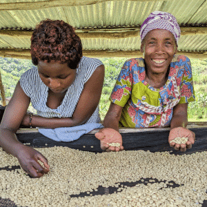 Quality and sustainability are two vital aspects to ROAST Coffee
